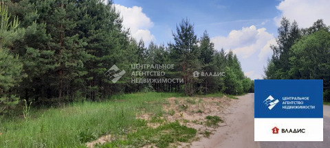 Продажа участка, Сумбулово, Спасский район