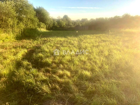 Богородский муниципальный округ, деревня Гремячки, Ключевая улица,  ...