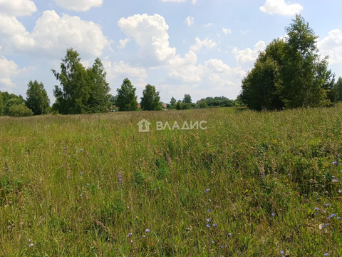 Камешковский район, село Палашкино,  земля на продажу