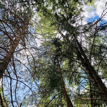 Участки в рассрочку