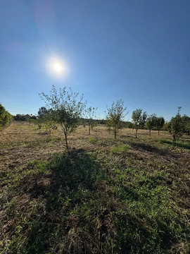 Продажа дома, Оазис, Северский район, ул. Центральная