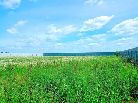 Продажа участка, Домодедово, Домодедово г. о., Московская обл