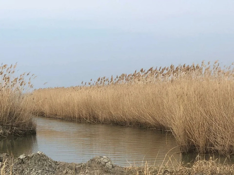 Продажа участка, Темрюк, Темрюкский район, Водный пер.