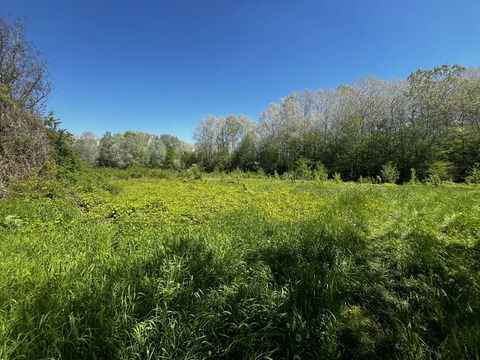 Продажа участка, Григорьевская, Северский район, ул. Южная