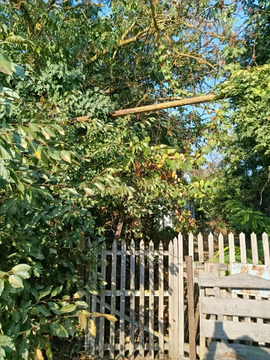 Продажа участка, Вышестеблиевская, Темрюкский район, Горького пер.