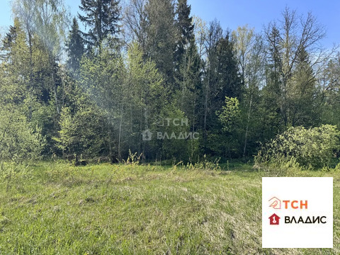 Продажа участка, Могильцы, Лотошинский район