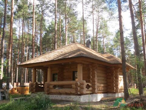 Продается современный двухэтажный особняк в с. Купанское в лесу