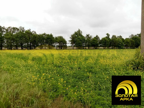 Продажа участка, Белый, Темрюкский район, ул. Шоссейная