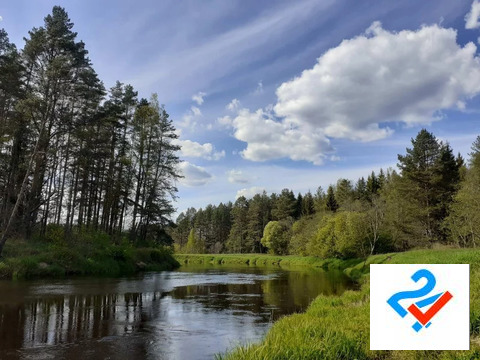 Продажа участка, Заруденье, Плюсский район, Ул. Центральная
