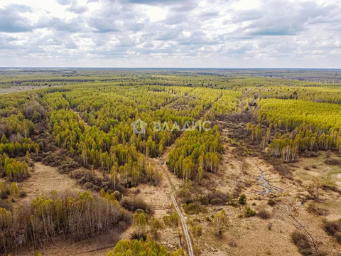Судогодский район, деревня Кощеево, земля на продажу