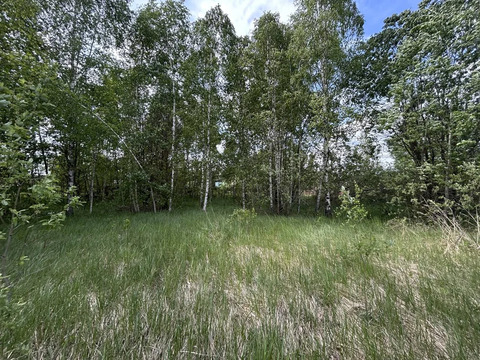 Продажа участка, Дмитровский район, СНТ Отрадное