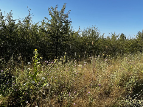 Продажа участка, Калужская, Северский район, улица Казачья