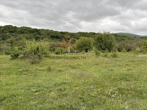 Садоводство 10 Сот