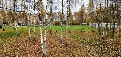 Продаётся отличный участок в окружении лесного массива в Калужской обл
