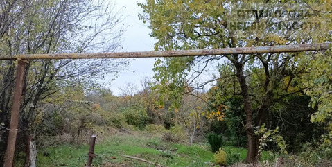 Участок 10 соток