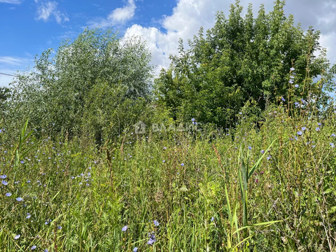 городской округ Клин, садовое товарищество Надежда,  земля на продажу