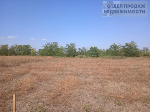 участок в пригороде