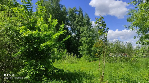 Участок у леса в достойном поселке на Рублевке по низкой цене