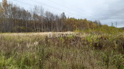 Павловский муниципальный округ, деревня Щепачиха,  земля на продажу