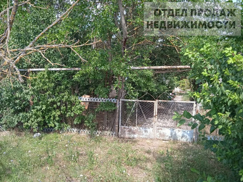 Участок в п. Виноградном