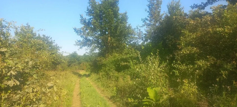 Продажа участка, Григорьевская, Северский район