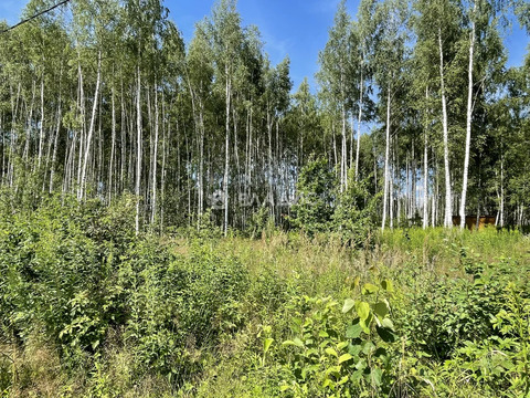 городской округ Владимир, Владимир, Октябрьский район, 2-я Сорокинская ...