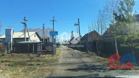 Новосибирский район, садовое товарищество Шафран,  земля на продажу