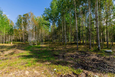 Продажа участка, Сундукуль, Нижнетавдинский р-н