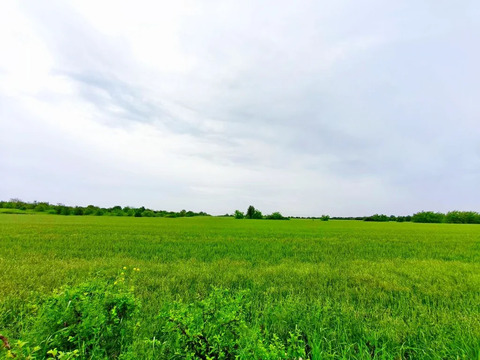 Продажа участка, Львовское, Северский район, ул. Северная