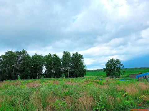 Продажа участка, Домодедово, Домодедово г. о., территория КП Новое ...