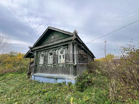 Собинский муниципальный округ, деревня Бухолово, Центральная улица,  ...