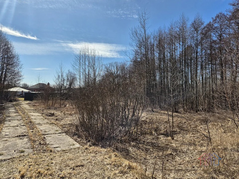 Участок 10 сот. (ИЖС)