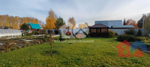 Новосибирский район, садовое товарищество Шафран,  земля на продажу