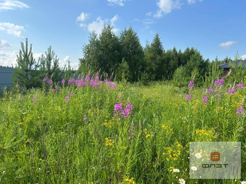 Продажа участка, Новое Шигалеево, Пестречинский район, ул. Кузьминых