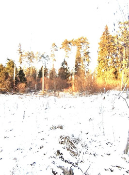 Участки ИЖС на Рублевке в тихом месте, рядом речка и лесной массив