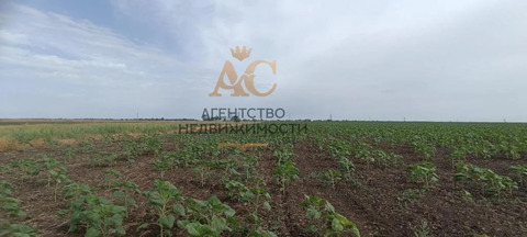 Земля сельхозназначения 3 Га