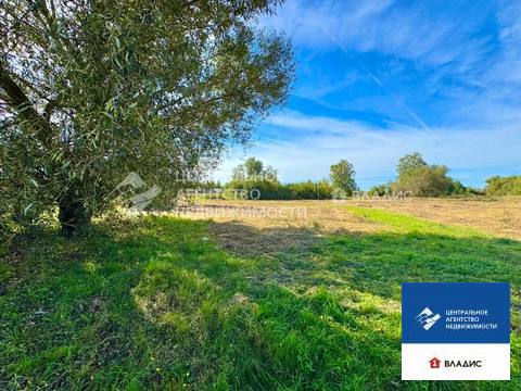 Продажа участка, Панино, Спасский район