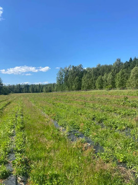 Продажа участка, Очево, Дмитровский район