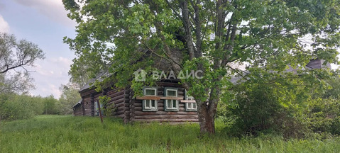 Судогодский район, деревня Дорофеево, Центральная улица,  дом на ...