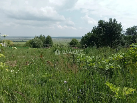 Гороховецкий район, деревня Куприяново, Сиреневая улица,  земля на ...