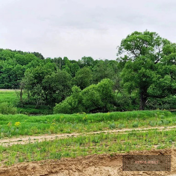 Для жизни и дохода!