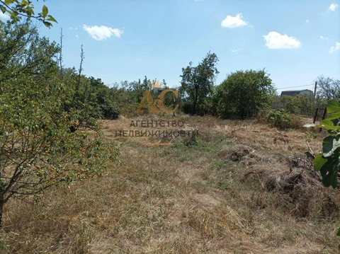 Садоводство 6 сот.