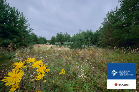 Продажа участка, Спасский район