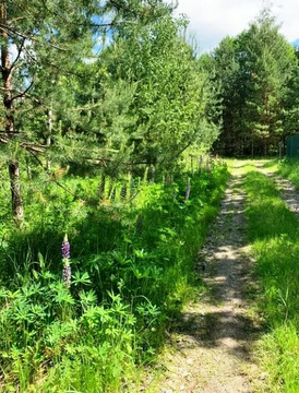 Участок в СНТ Рица