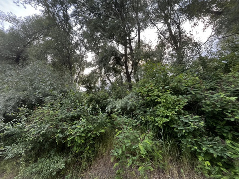 Продажа участка, Афипский, Северский район