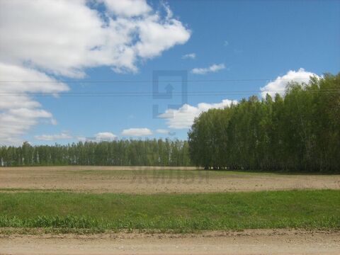 Продажа участка, Марусино, Новосибирский район