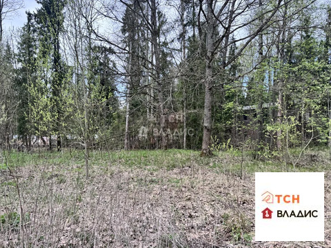 Продажа участка, Могильцы, Лотошинский район