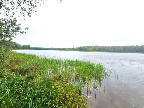 Купить Участок с лесом у реки отличное предложение