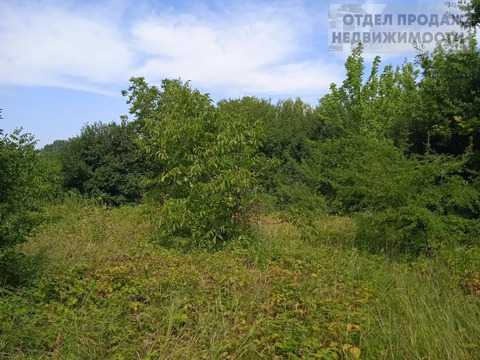 Участок в п. Виноградном