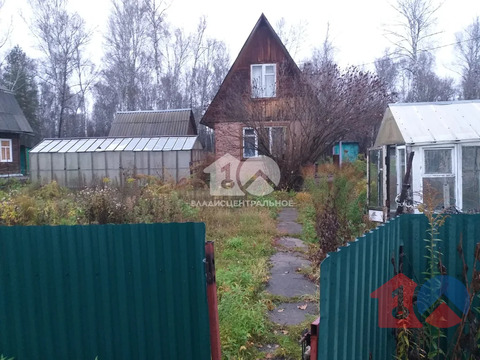 Новосибирский район, СНТ Лесоустроитель, Лесная улица,  дом на продажу
